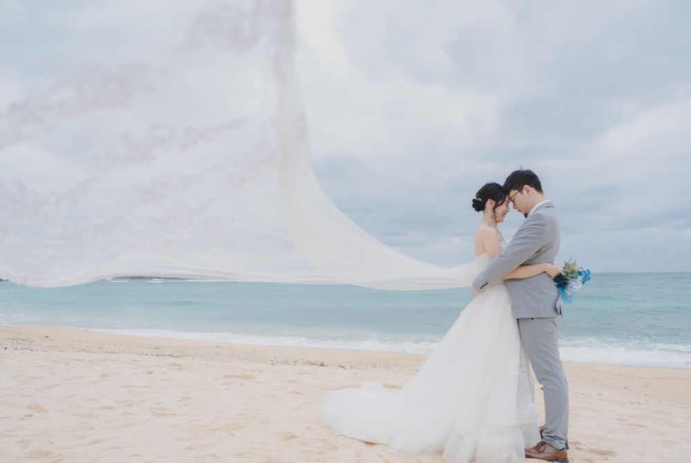 shot with wedding veil