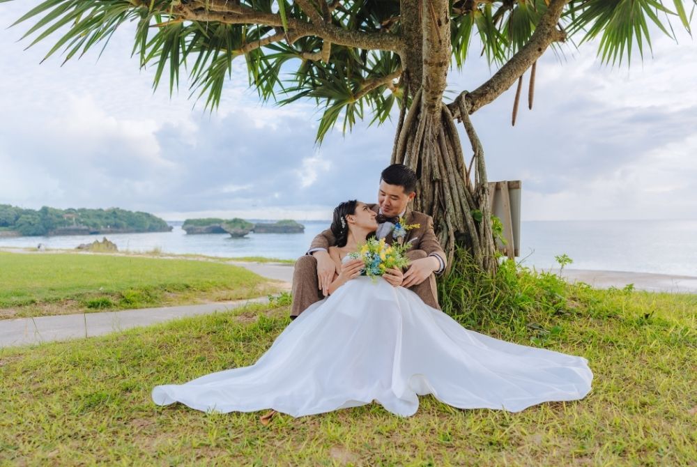 shot under the tropical tree