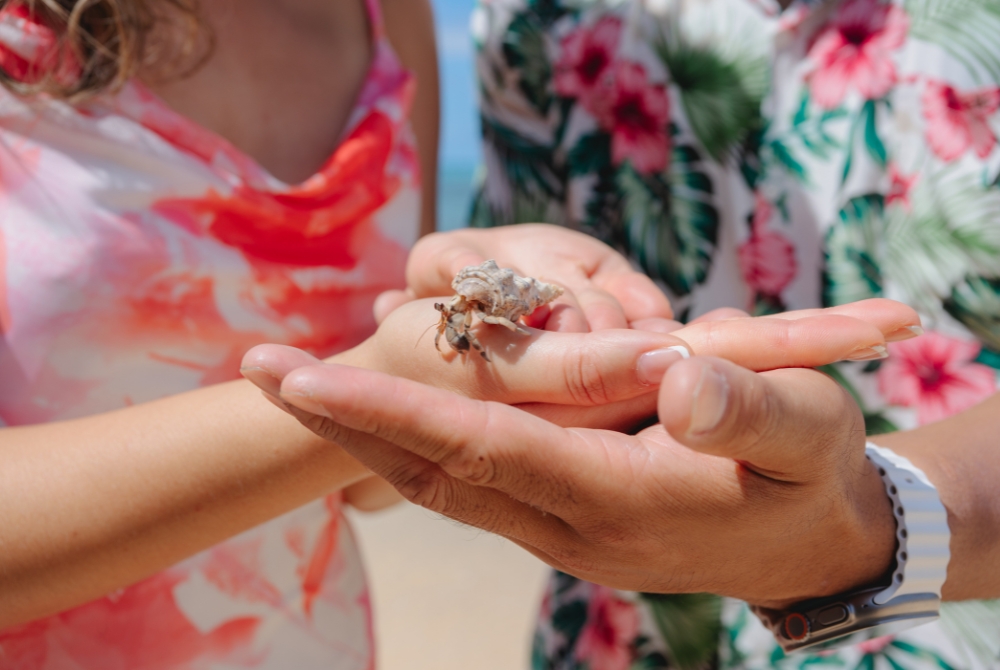 Happy couple with a hermit crab2